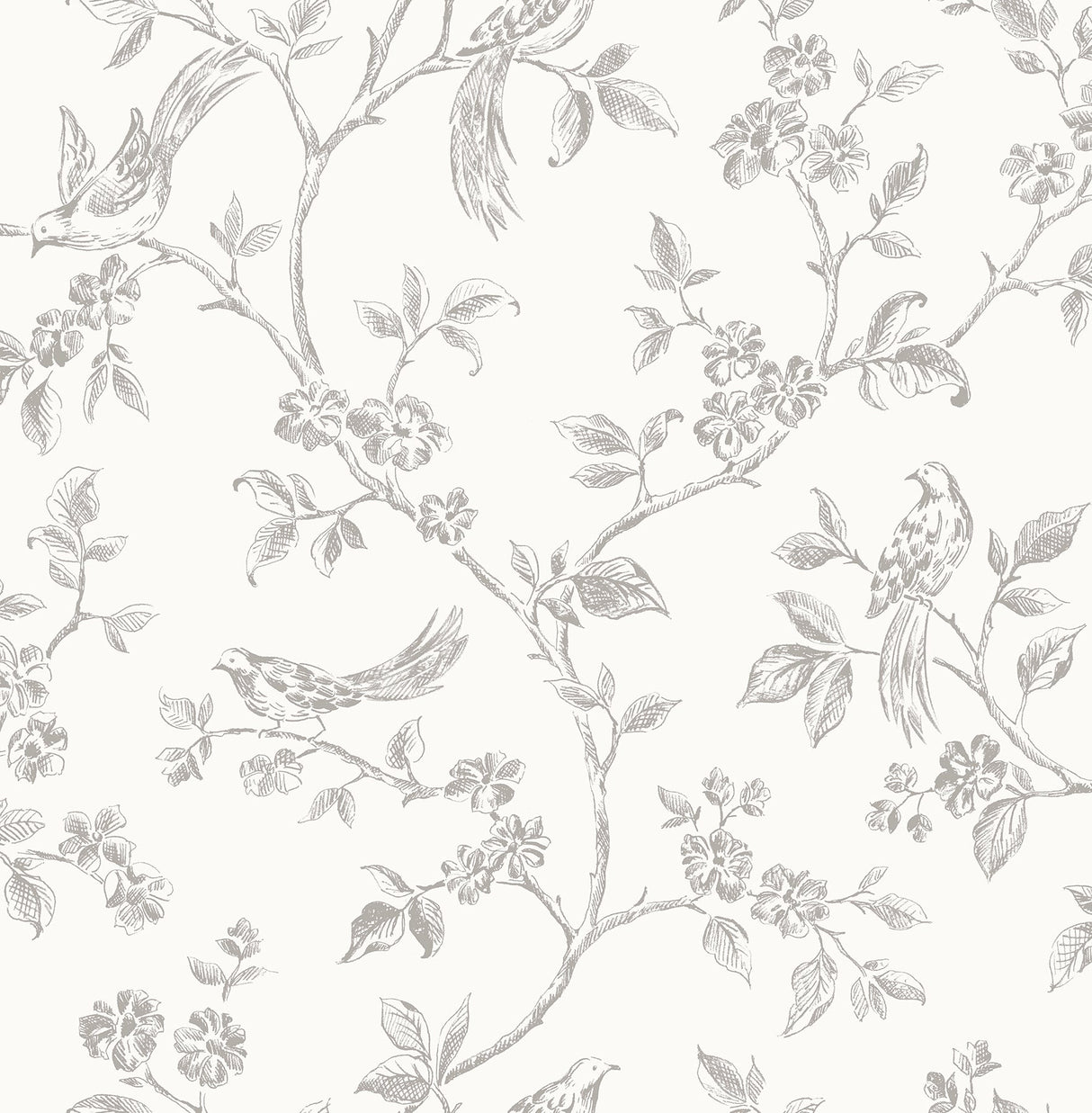 Advantage 2836-24977 Ophelia Grey Bird Trail Wallpaper