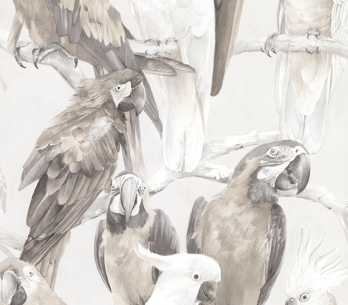 Advantage 2836-803105 Viola Grey Macaw Wallpaper