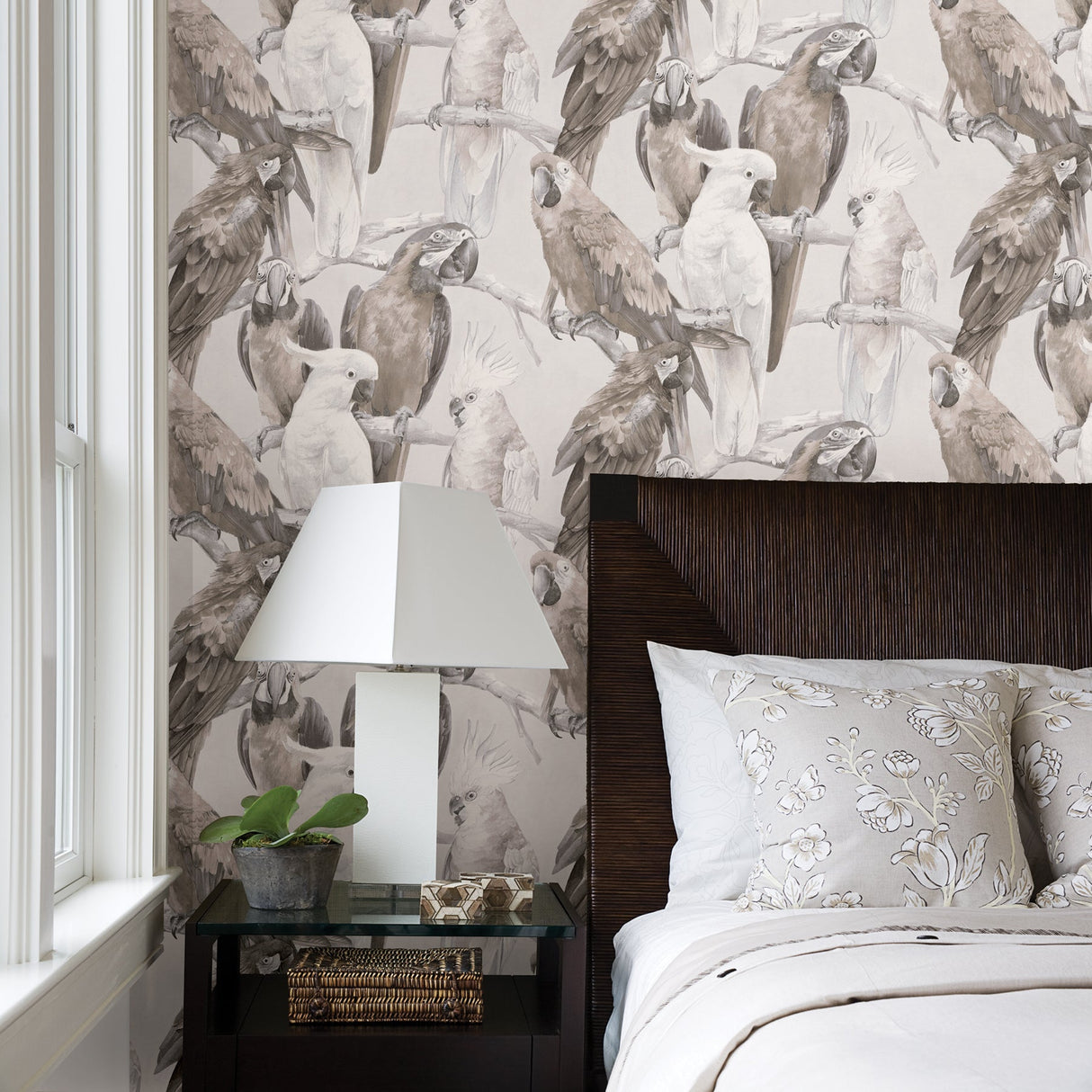 Advantage 2836-803105 Viola Grey Macaw Wallpaper