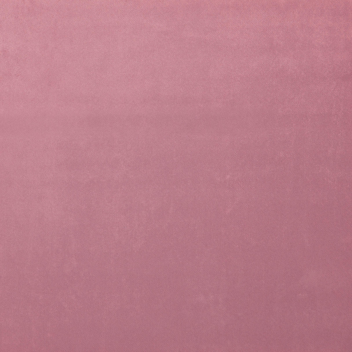 Eade’s # 06 BOUDOIR