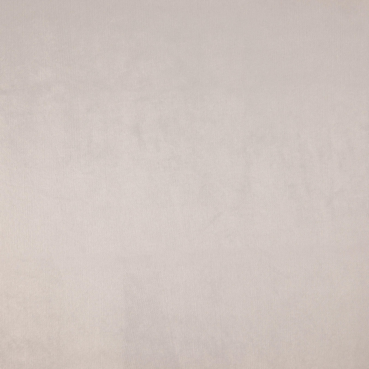 Eade’s # 10 OYSTER