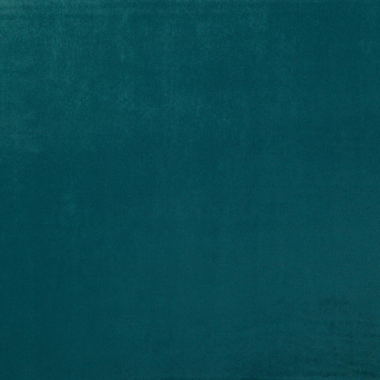 Eade’s # 23 DRAGONFLY