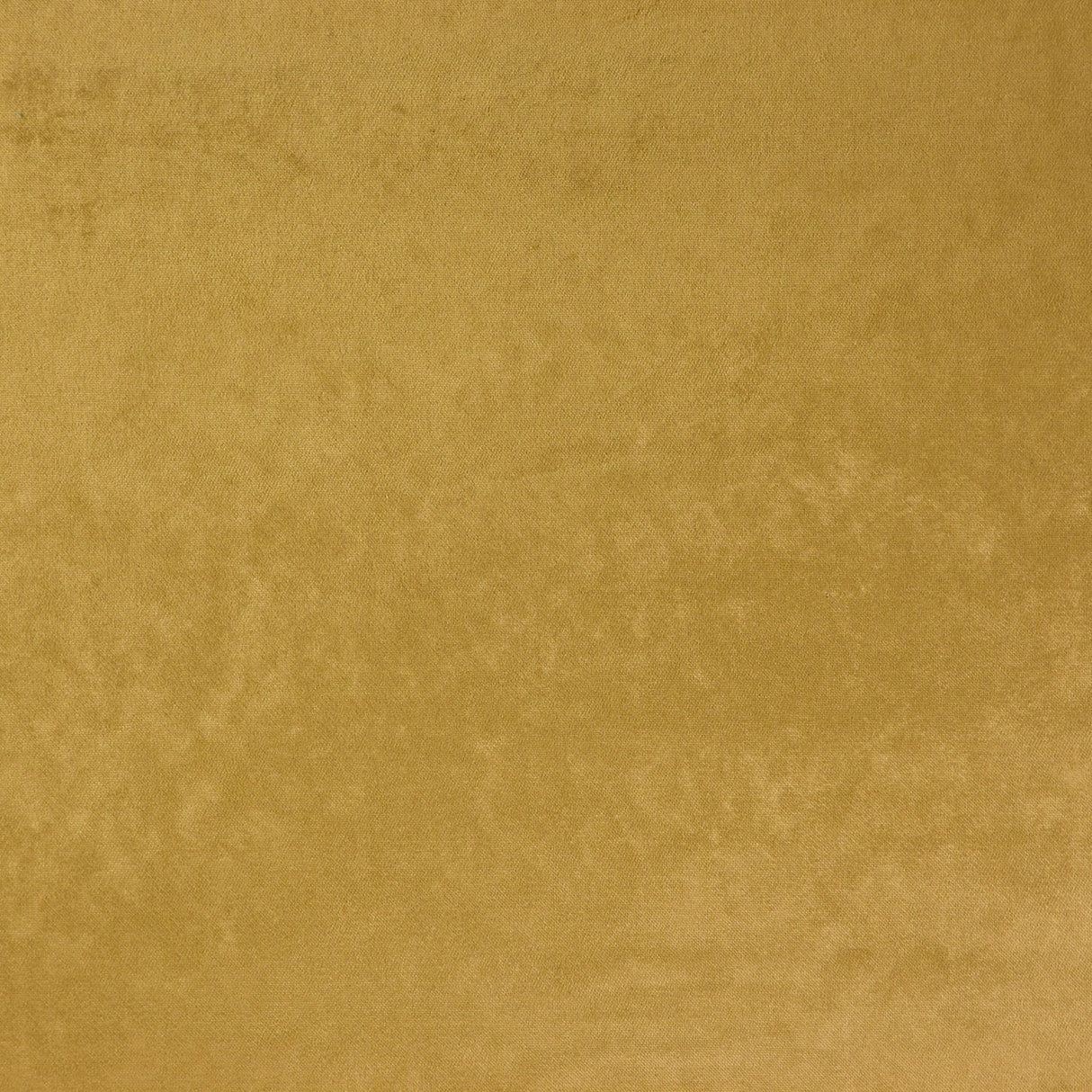 Eade’s # 31 IGUANA