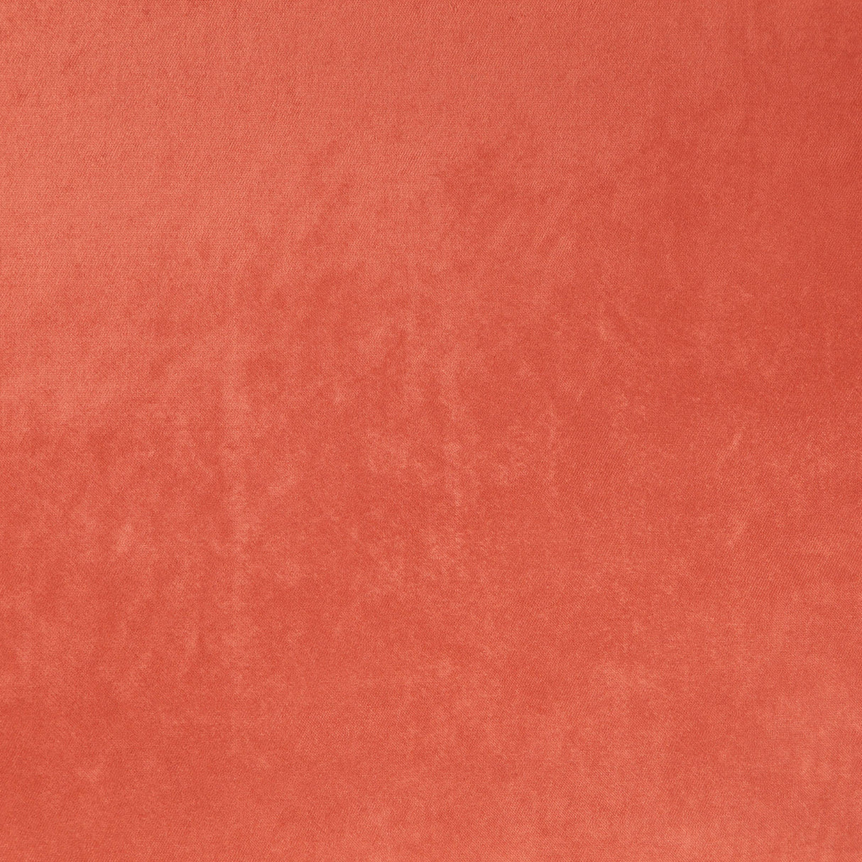 Eade’s # 52 CANYON