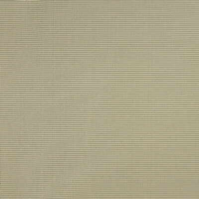 KRAVET COUTURE 28670.23.0 THAI SILK CACTUS Fabric - Eade's Wallpaper