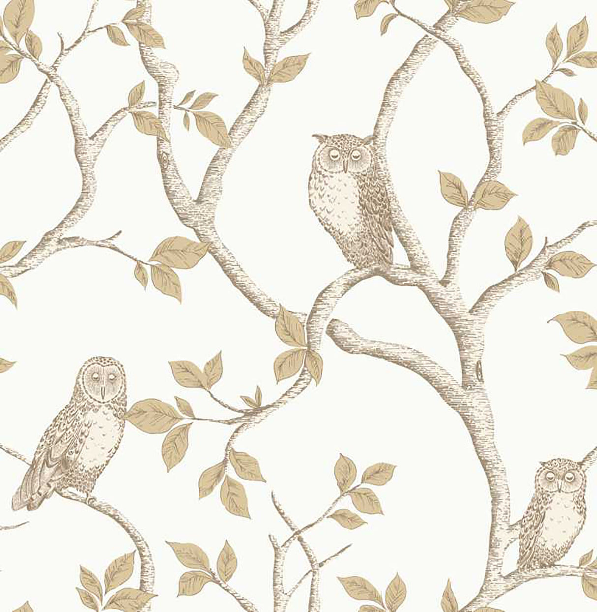 Fine Decor 2900-40639 Linden Natural Owl Wallpaper