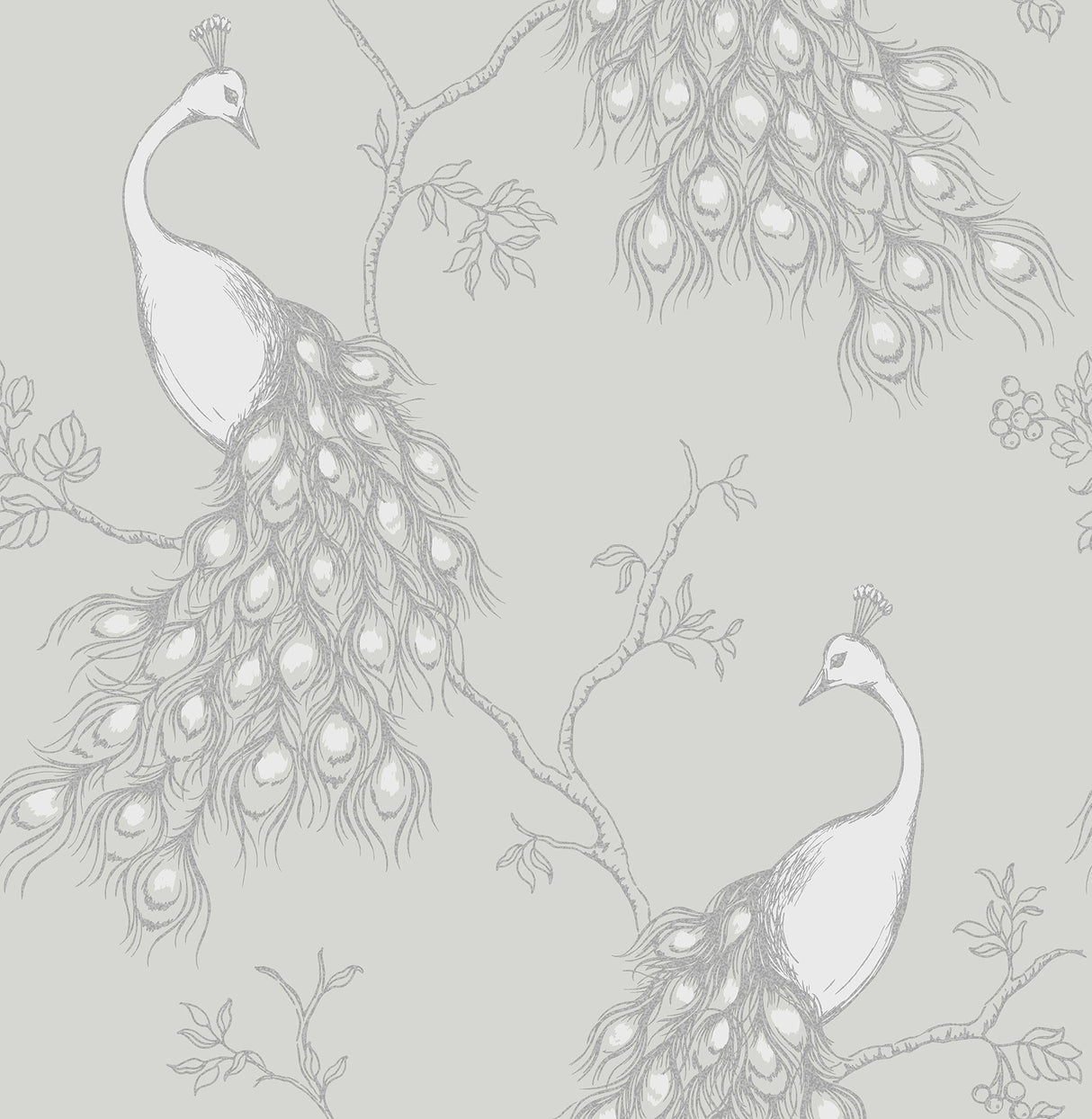 Fine Decor 2900-40712 Phasia Grey Peacock Wallpaper