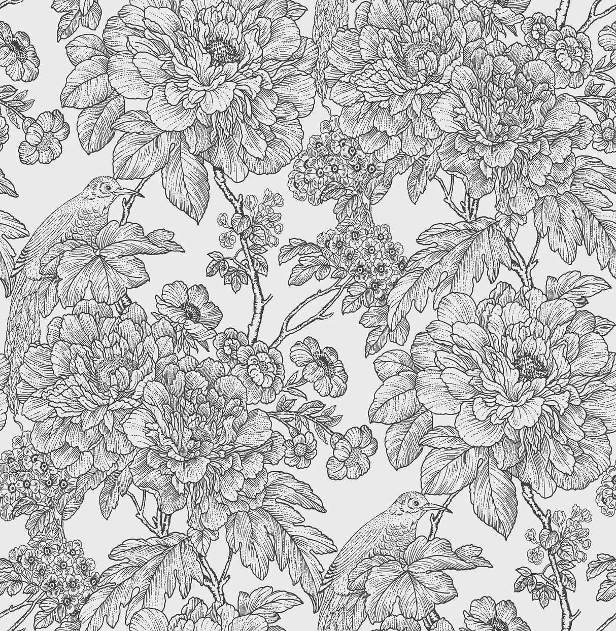 A-Street Prints 2901-25414 Birds of Paraside Breeze Black Floral Wallpaper