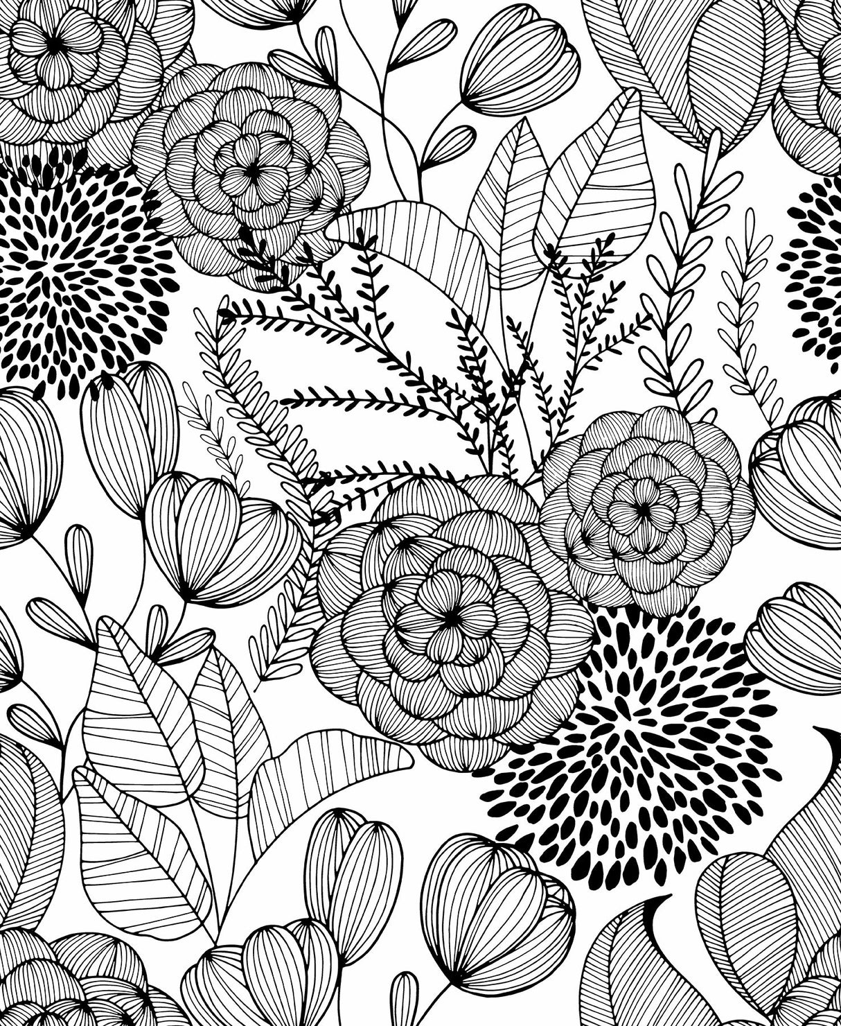 A-Street Prints 2903-25853 Alannah Black Botanical Wallpaper