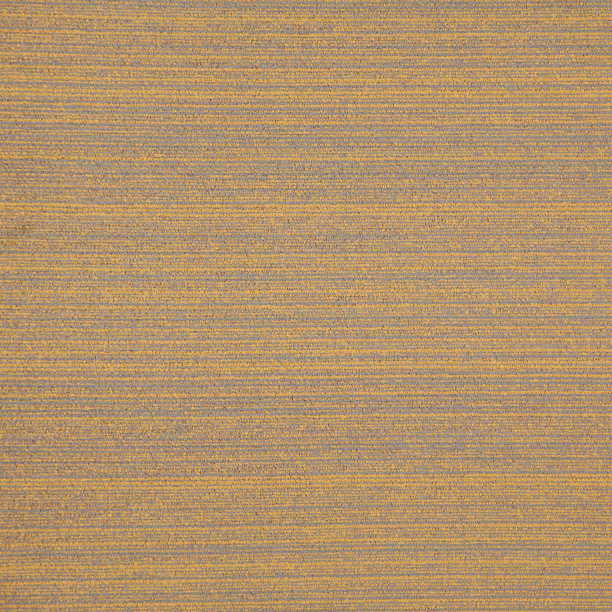 Eade’s # 536 APRICOT