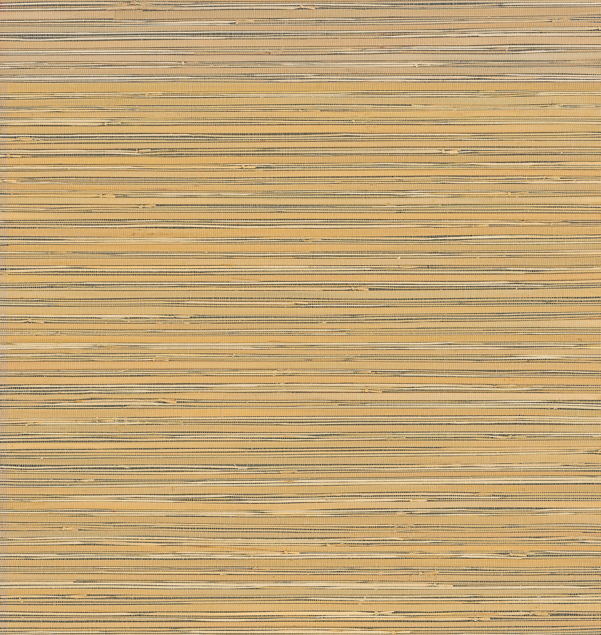 Eade’s Ushi Black Modern Grasscloth Wallpaper Black