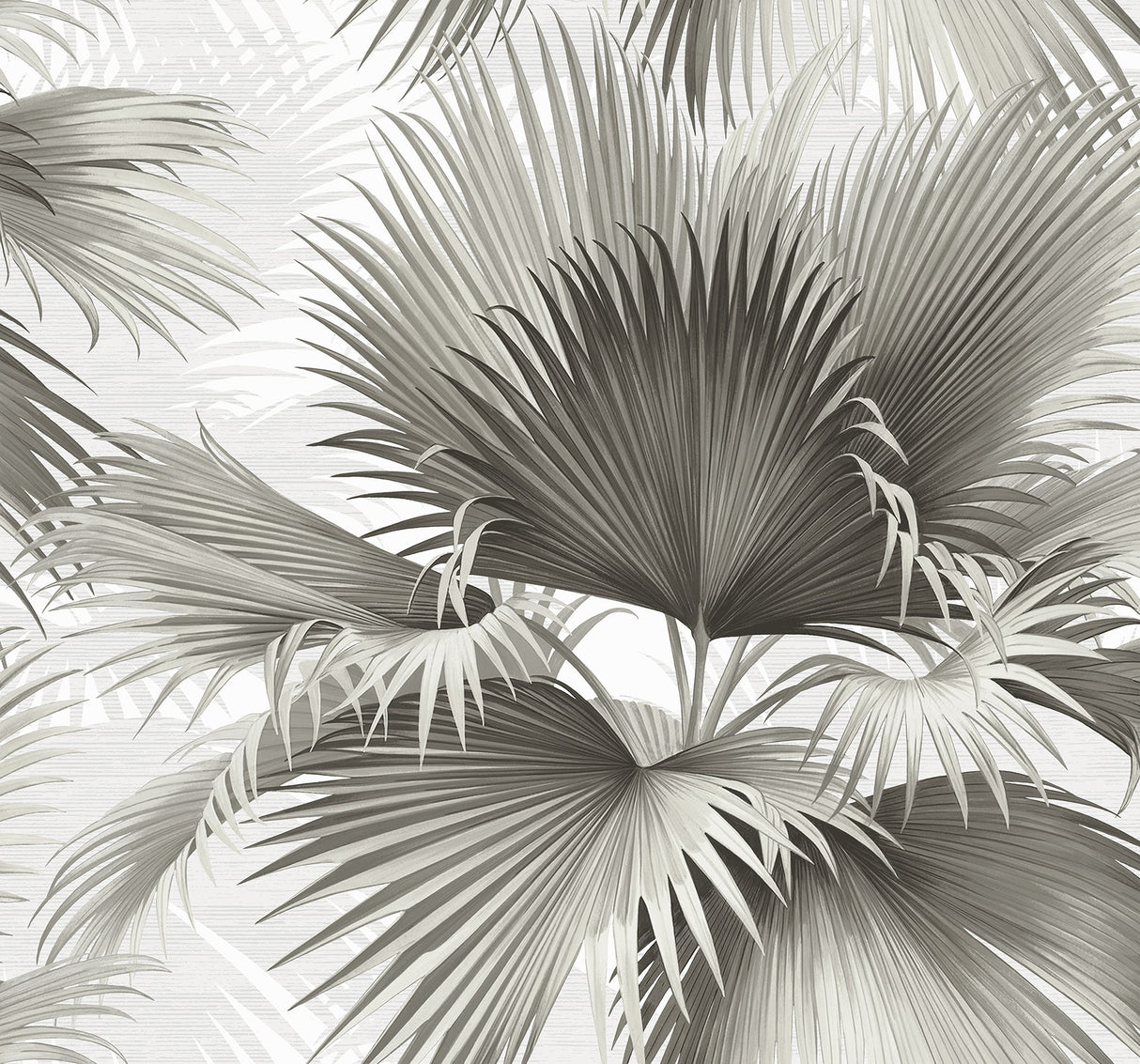 A-Street Prints 2927-40100 Summer Palm Charcoal Tropical Wallpaper