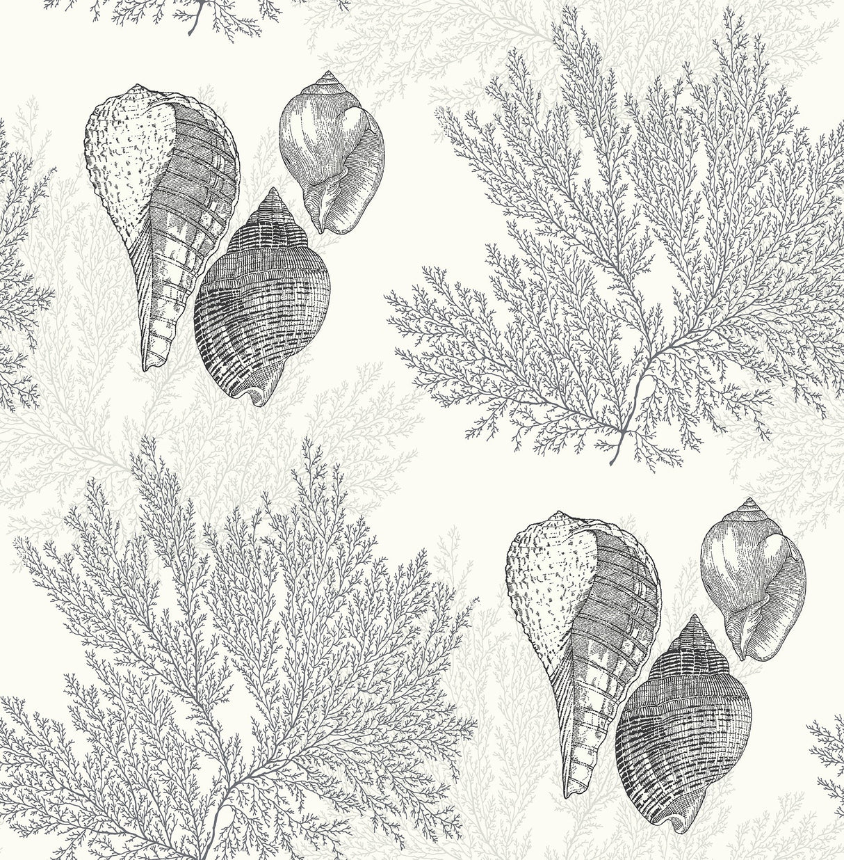 A-Street Prints 2927-81200 Nauset Black Seashell Shores Wallpaper