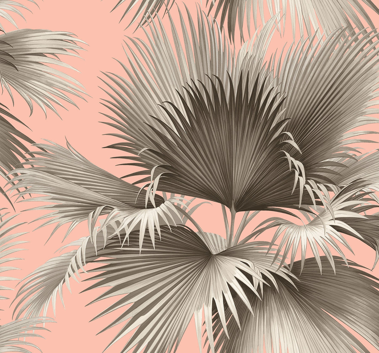A-Street Prints 2927-81901 Summer Palm Blush Tropical Wallpaper