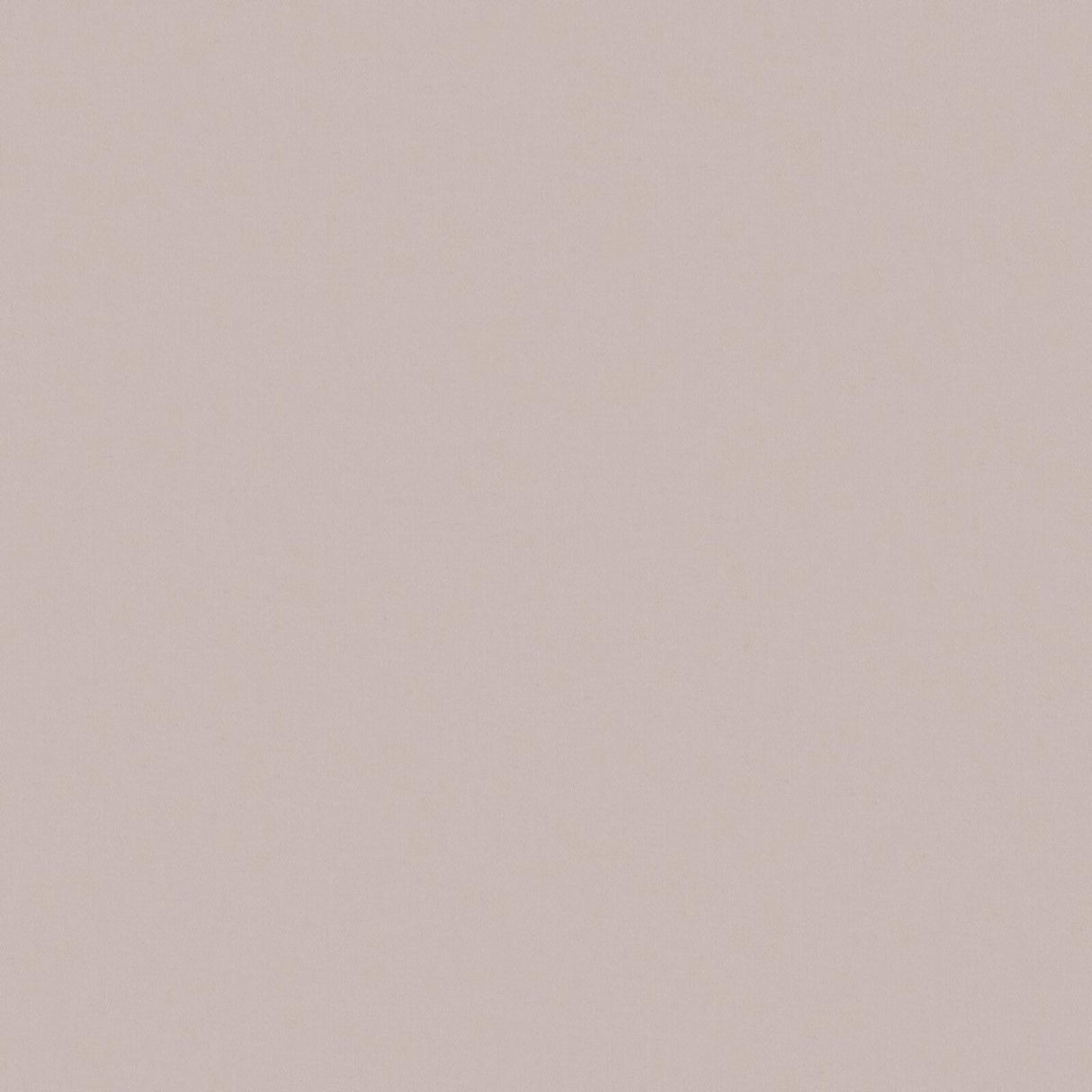 Eade’s # 501 ORCHID