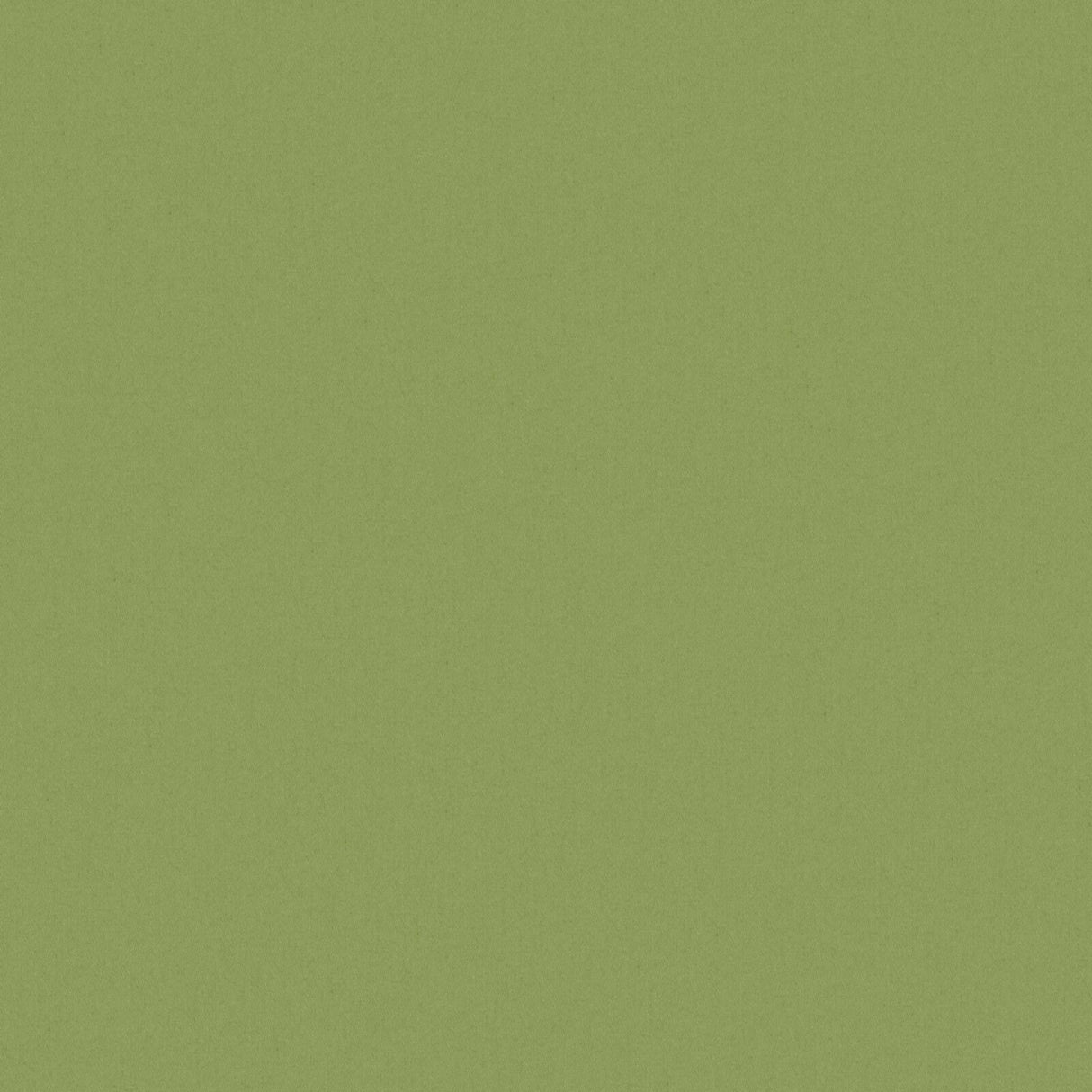 Eade’s # 519 HEDGE