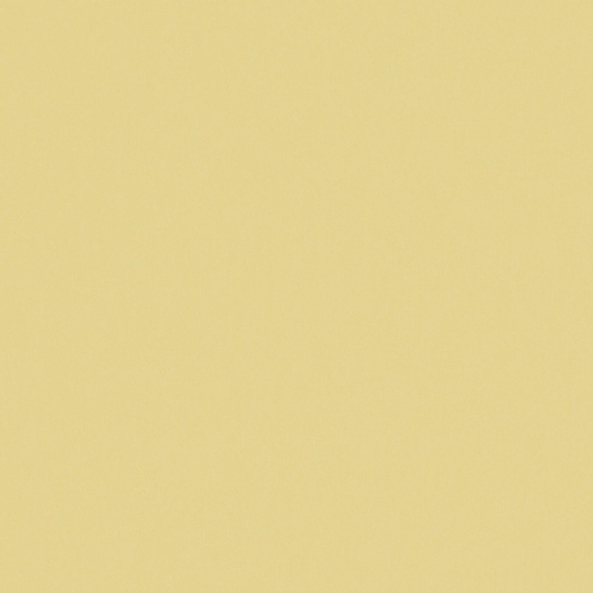 Eade’s # 522 MIMOSA