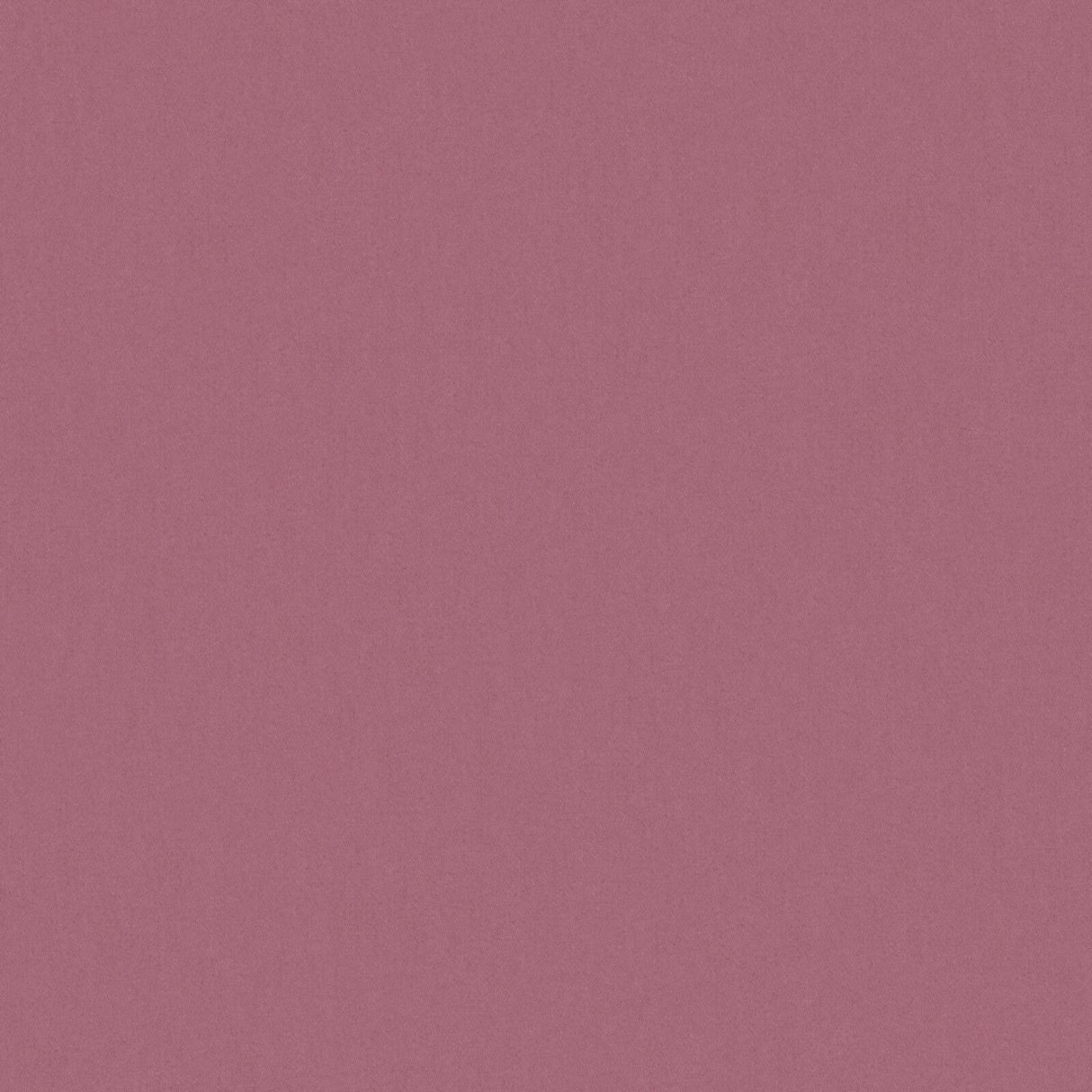 Eade’s # 531 LOTUS