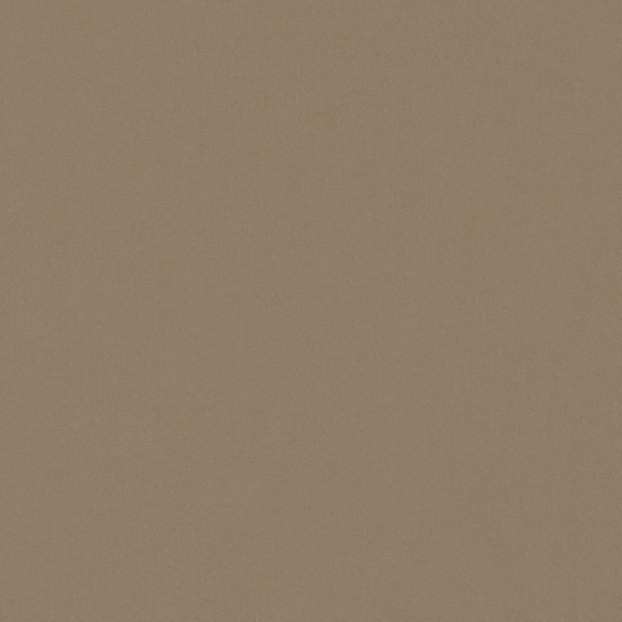 Eade’s # 545 PINECONE