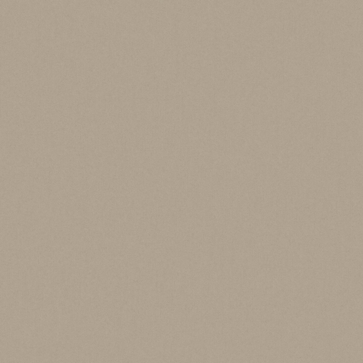 Eade’s # 550 FUNGHI