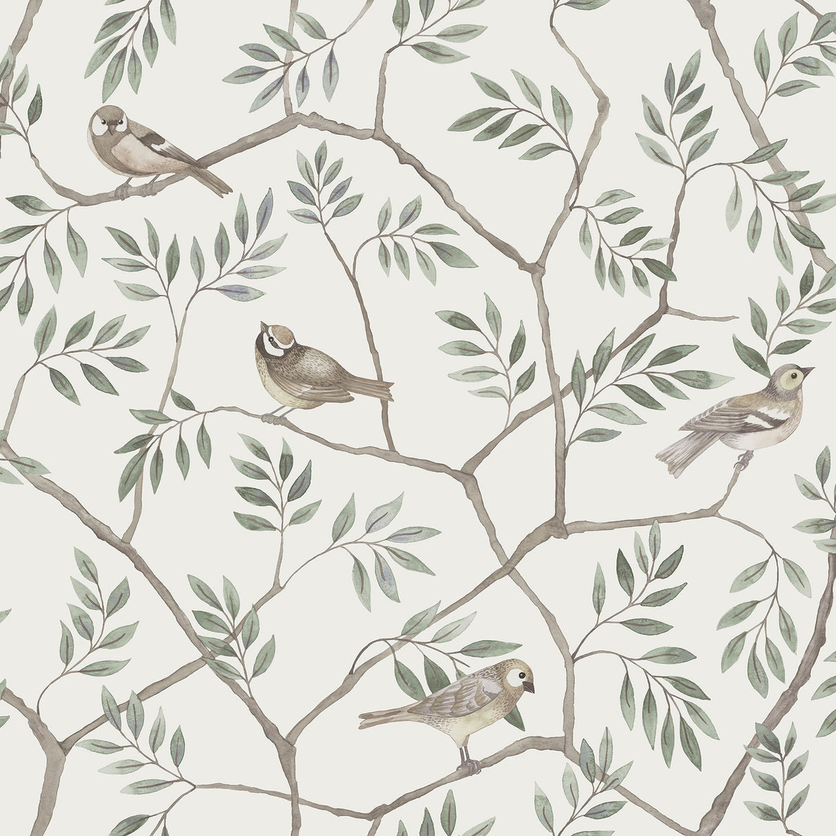 A-Street Prints 2948-27015 Crossbill Off-White Branches Wallpaper