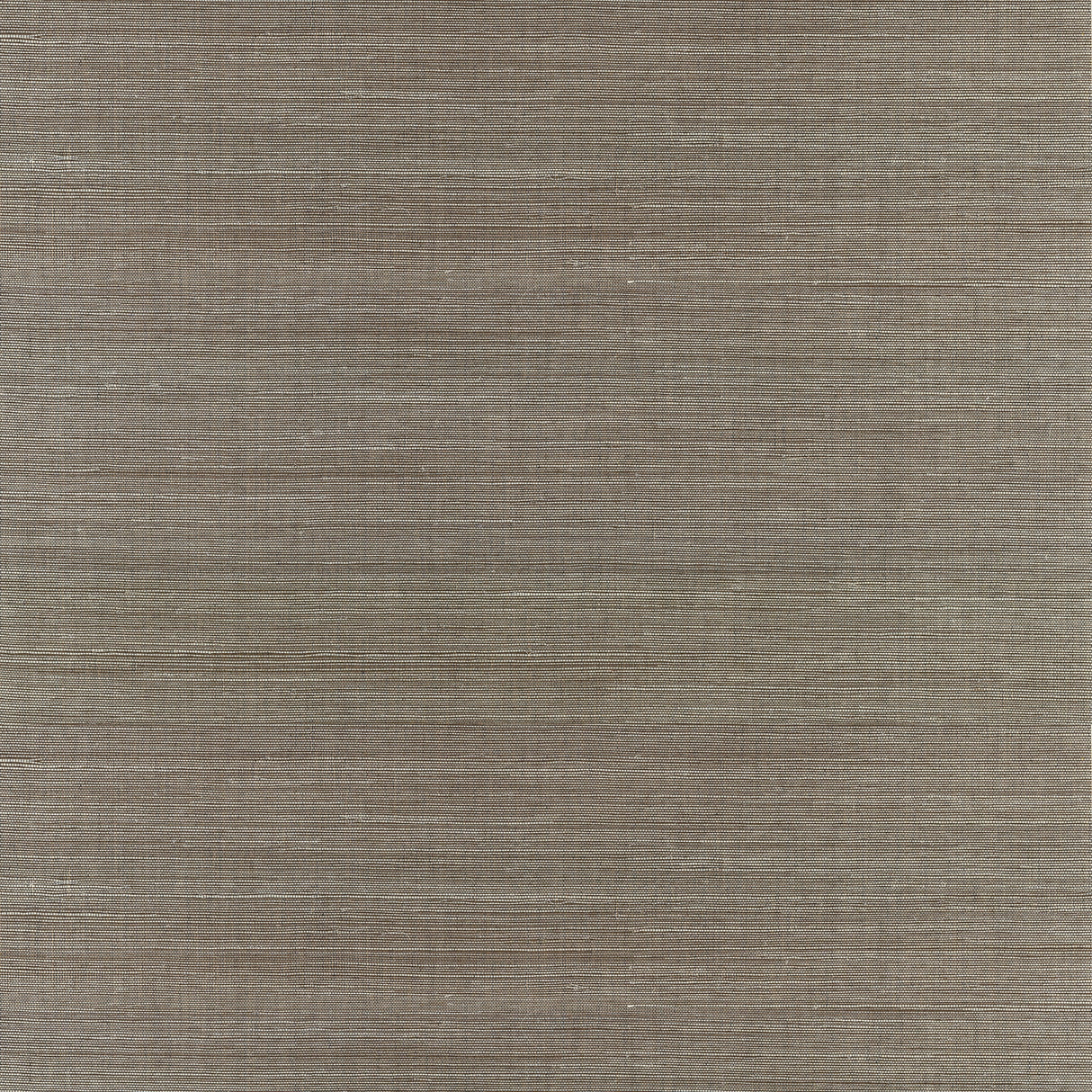 Eade’s Jiao Metallic Sisal Grasscloth Wallpaper Metallic