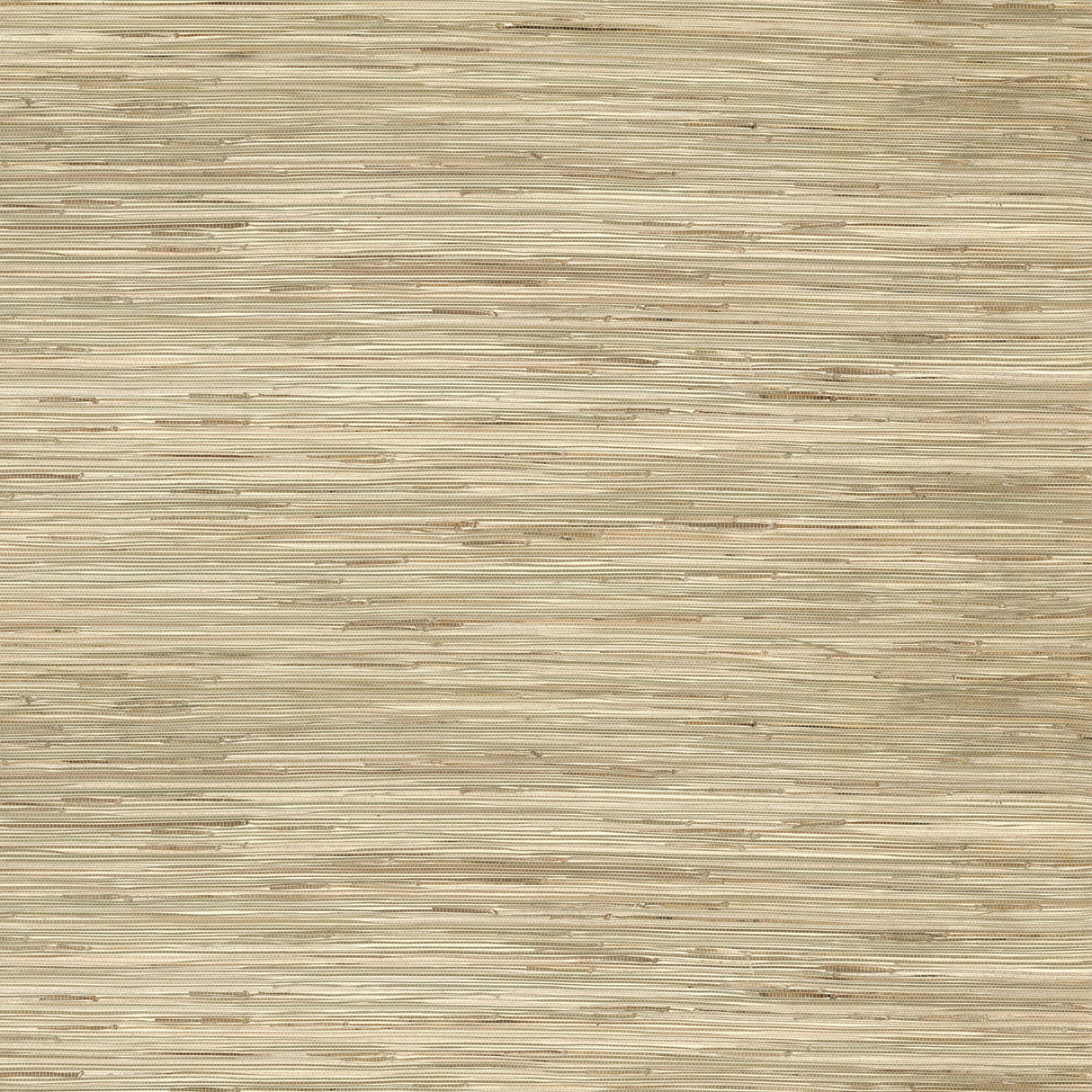 Eade’s Sogen Khaki Knotted Sea Grasscloth Wallpaper Khaki