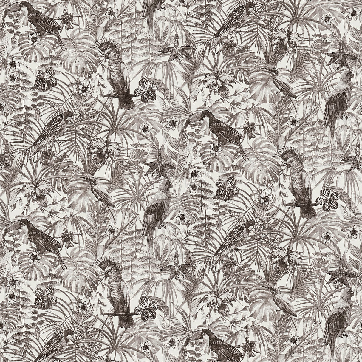 Advantage 2979-37210-5 Susila Grey Tropical Wallpaper