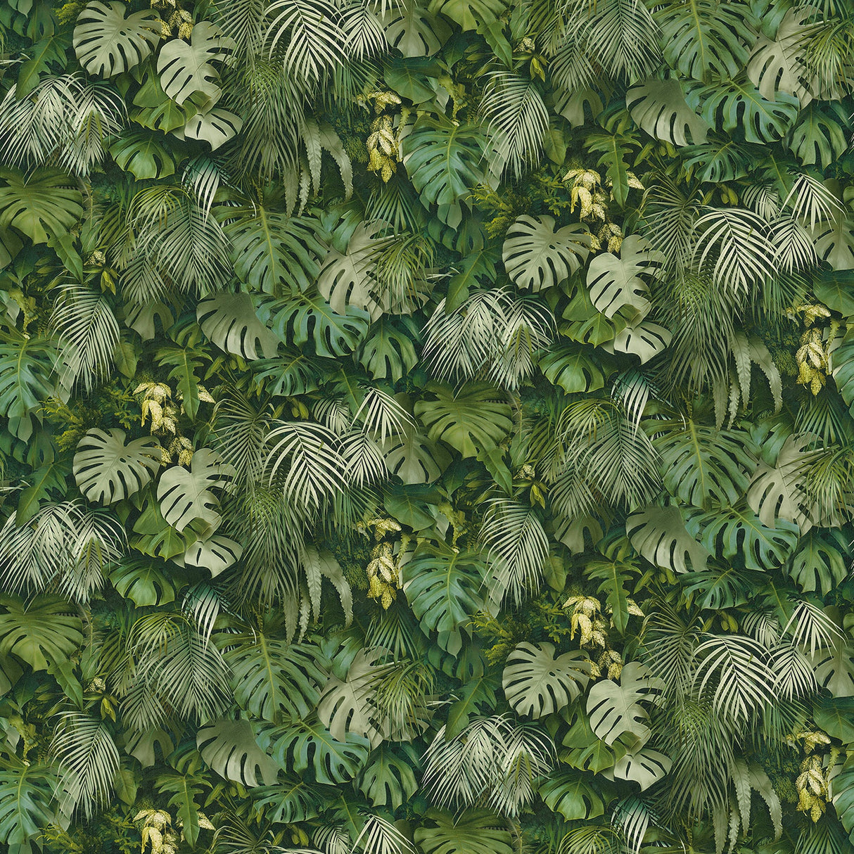 Advantage 2979-37280-2 Luana Green Tropical Forest Wallpaper