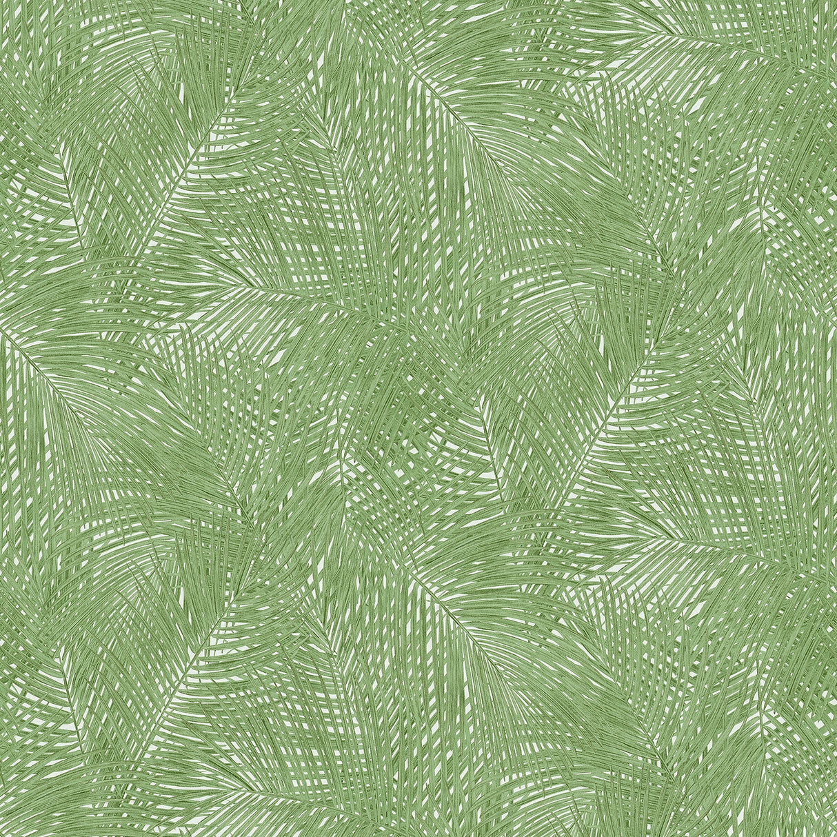 Advantage 2979-37371-5 Raina Green Fronds Wallpaper