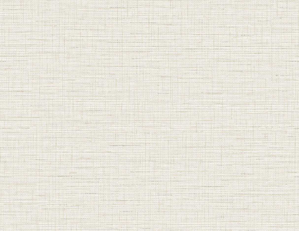 A-Street Prints 2988-71003 Salamander Eggshell Woven Wallpaper