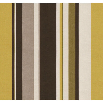 KRAVET COUTURE 30111.630.0 ECLECTIC RANGE QUINCE Fabric - Eade's Wallpaper