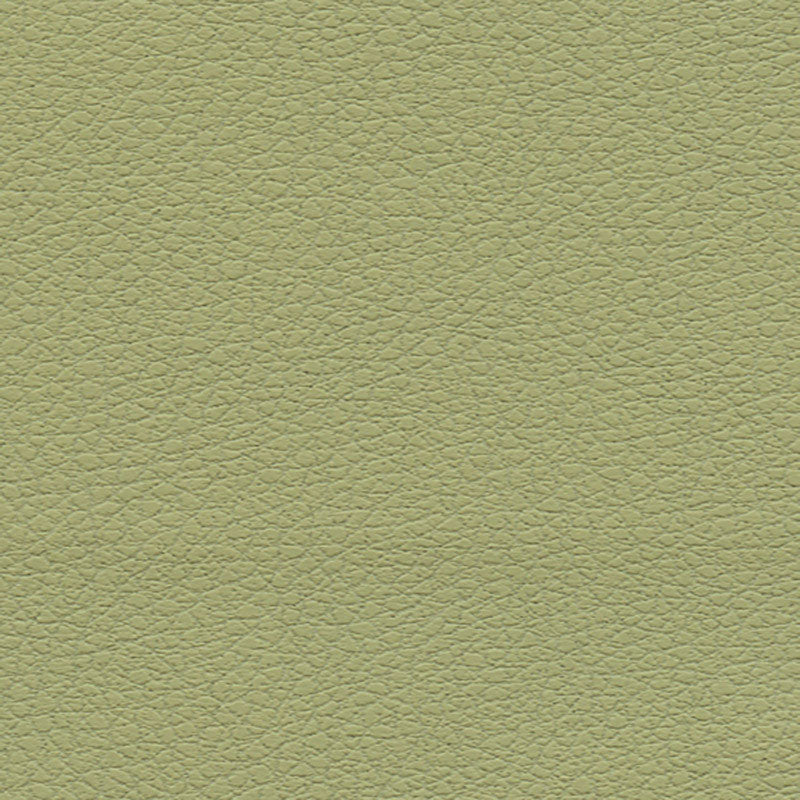 Schumacher 303-4510 BRISA in CELERY Fabric - ULTRALEATHER