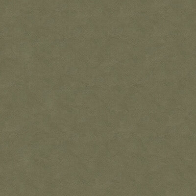 KRAVET DESIGN 30787.1121.0 ULTRASUEDE GREEN FLANNEL Fabric - Eade's Wallpaper