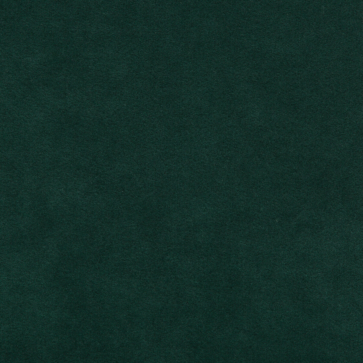KRAVET DESIGN 30787.5353.0 ULTRASUEDE GREEN PINE Fabric - Eade's Wallpaper