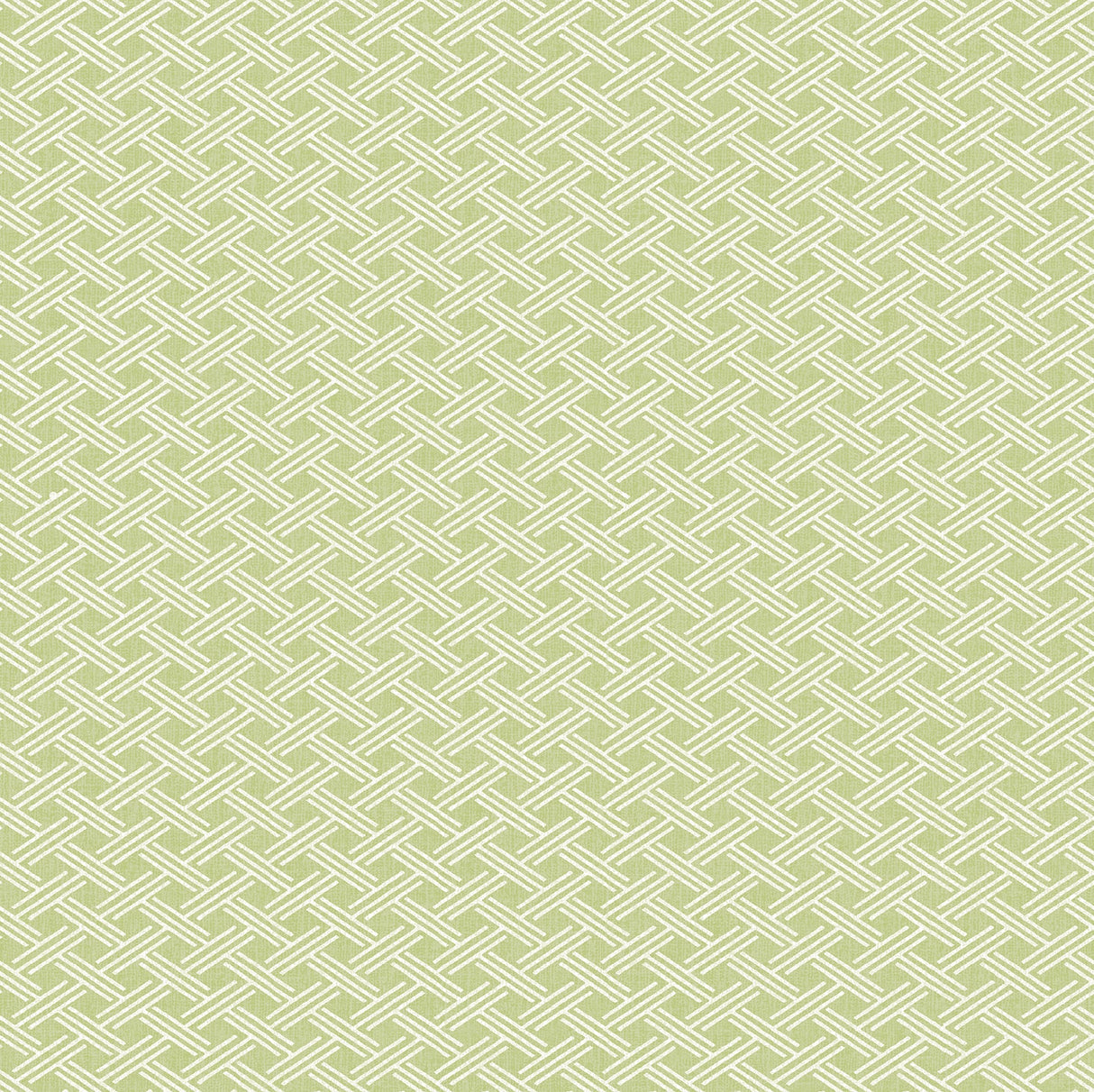 Chesapeake 3113-12082 Sweetgrass Green Lattice Wallpaper