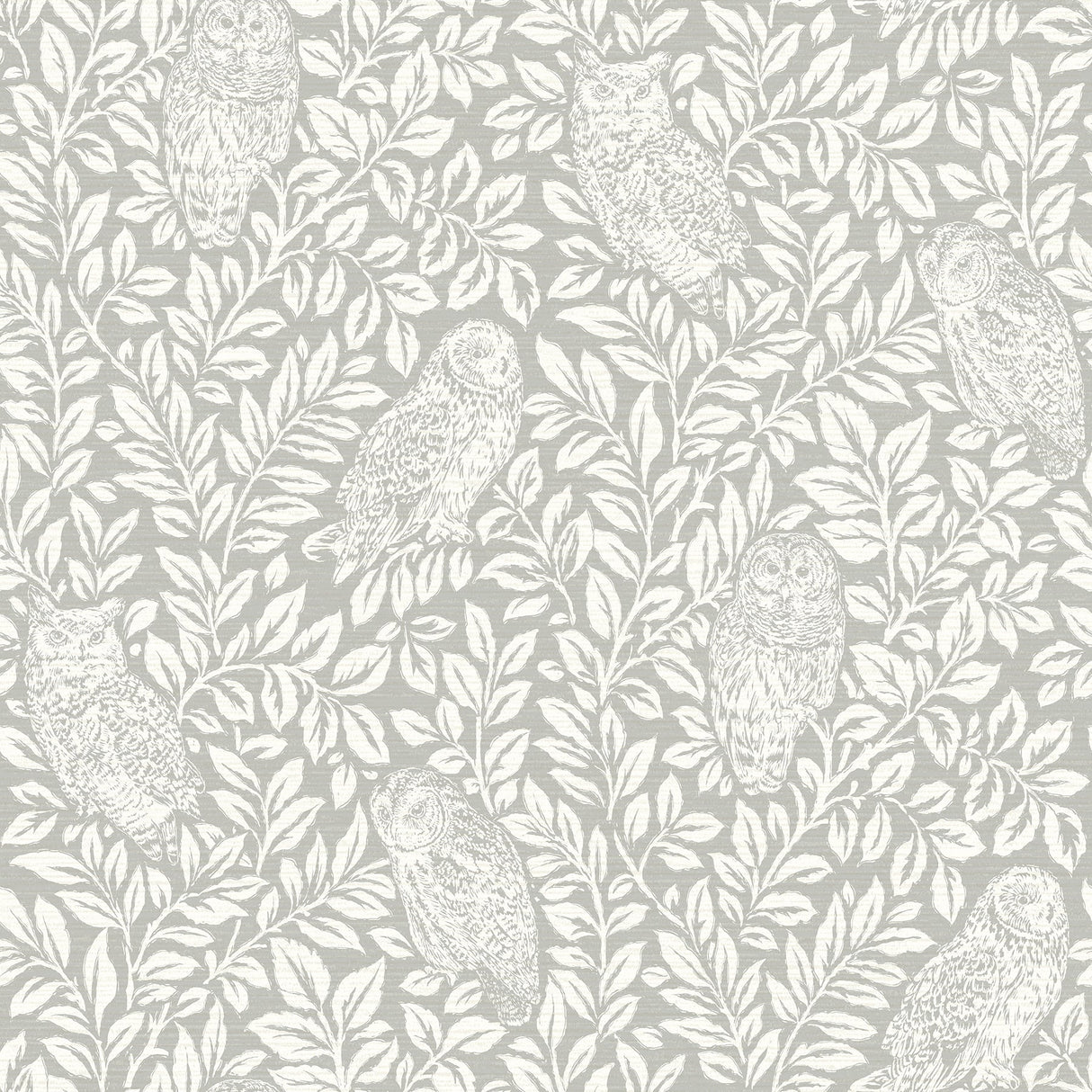 Chesapeake 3115-12411 Parliament Light Grey Owl Wallpaper