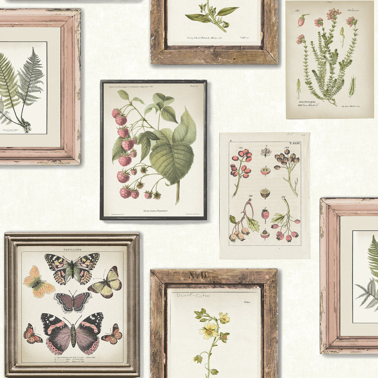 Chesapeake 3115-12501 Sibylla White Gallery Wallpaper