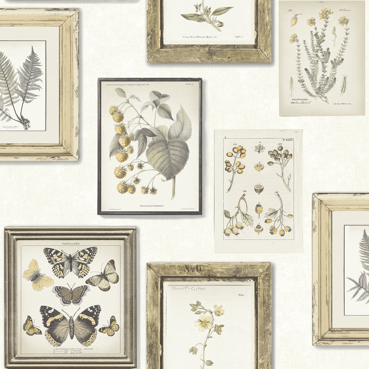 Chesapeake 3115-12503 Wallpaper - Eade's – Eades Wallpaper & Fabrics
