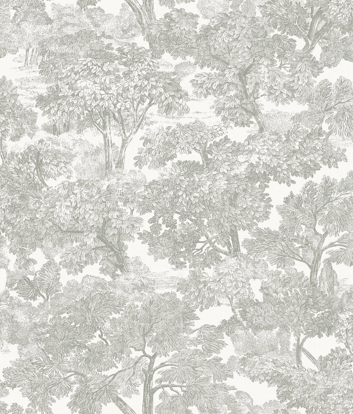 Chesapeake 3115-12541 Spinney Grey Toile Wallpaper
