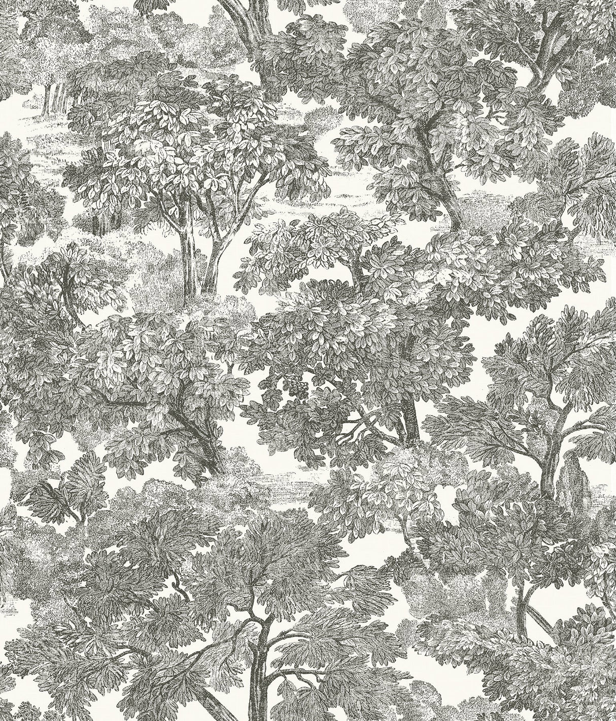 Chesapeake 3115-12542 Spinney Black Toile Wallpaper