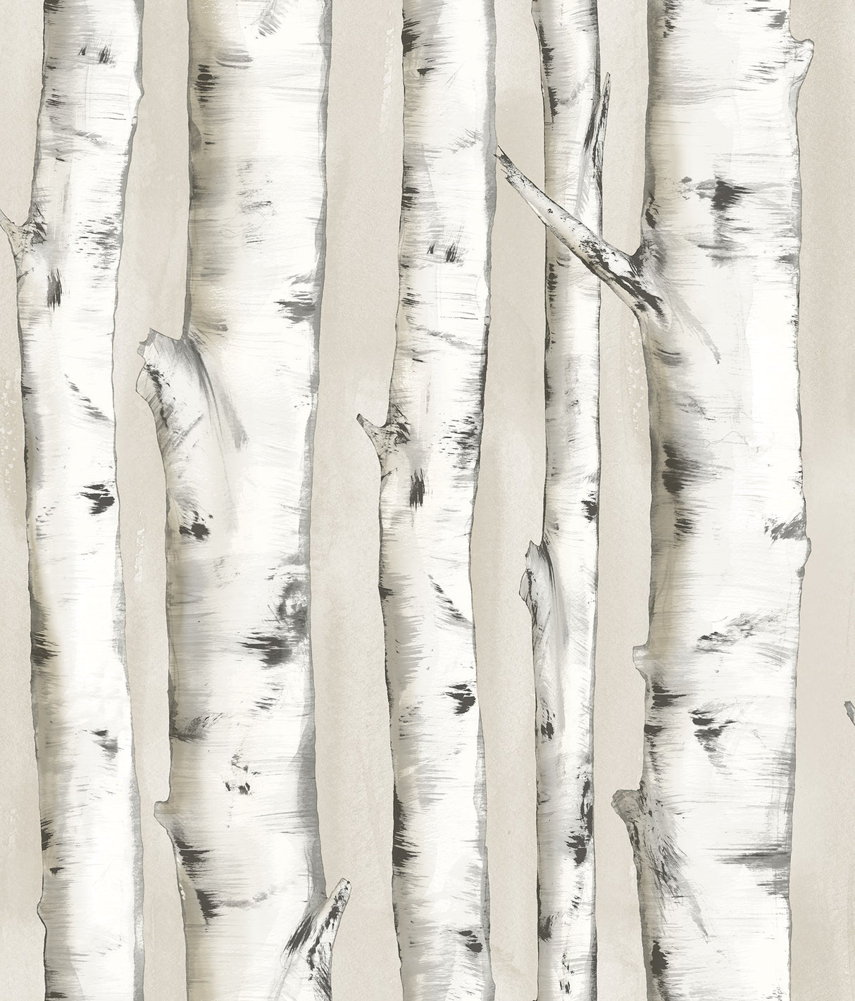 Chesapeake 3118-12601 Pioneer Off-White Birch Tree Wallpaper