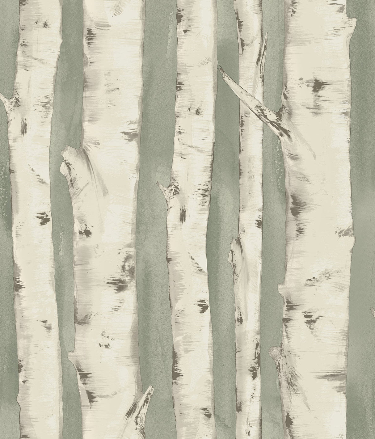 Chesapeake 3118-12603 Pioneer Sage Birch Tree Wallpaper