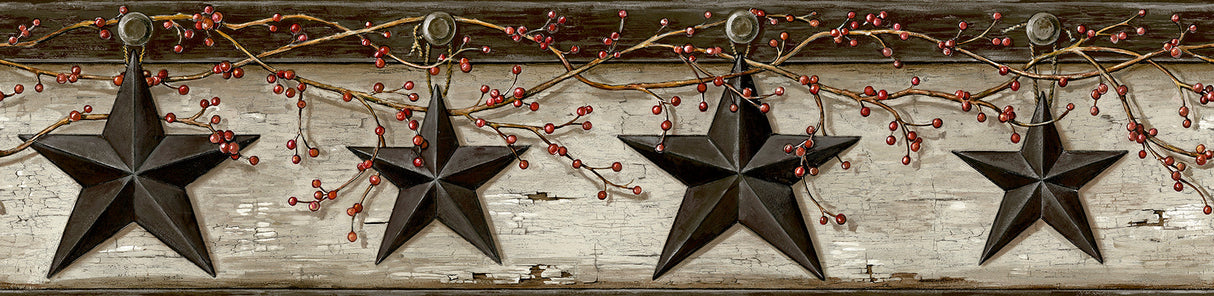 Chesapeake 3123-44601 Ennis Black Rustic Barn Star Border