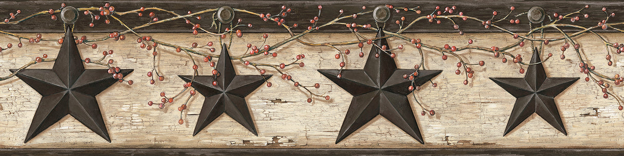 Chesapeake 3123-44602 Ennis Charcoal Rustic Barn Star Border