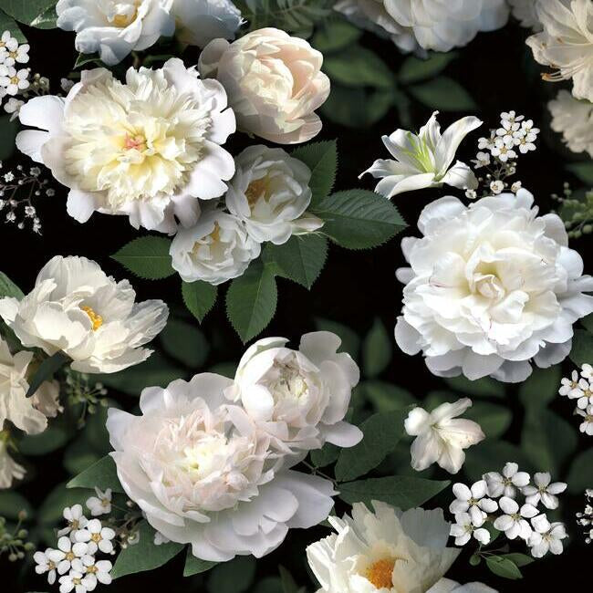 York RMK11239M Photographic Floral Peel and Stick Wall Mural - Eade's Wallpaper