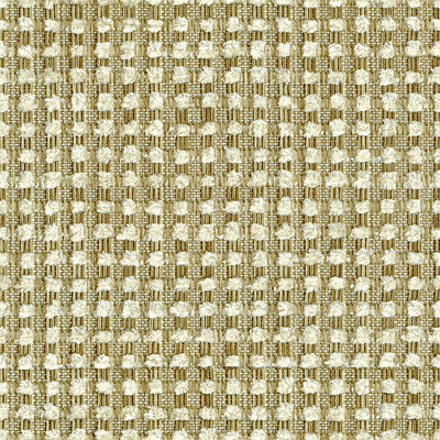 KRAVET DESIGN 32012.416.0 BUBBLE TEA CHAMPAGNE Fabric - Eade's Wallpaper