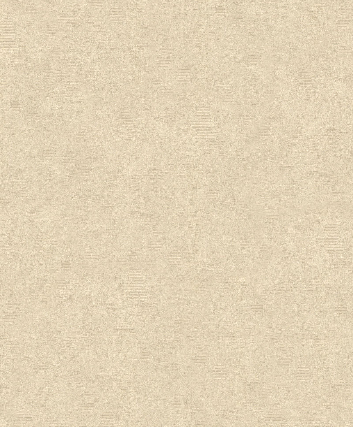 Eade's TE3228223-sample Beige