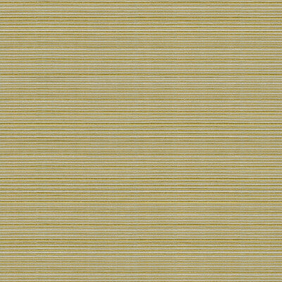 KRAVET BASICS 32497.3.0 CAMPANIA KIWI Fabric - Eade's Wallpaper