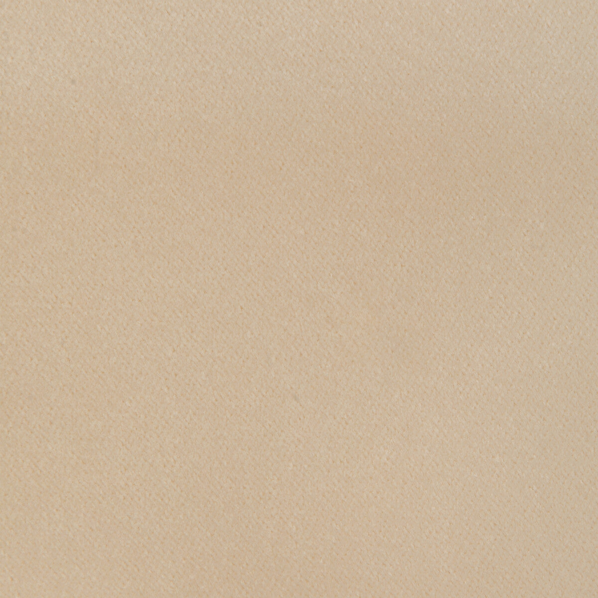 KRAVET SMART 32565.1116.0 KRAVET SMART 32565-1116 Fabric - Eade's Wallpaper